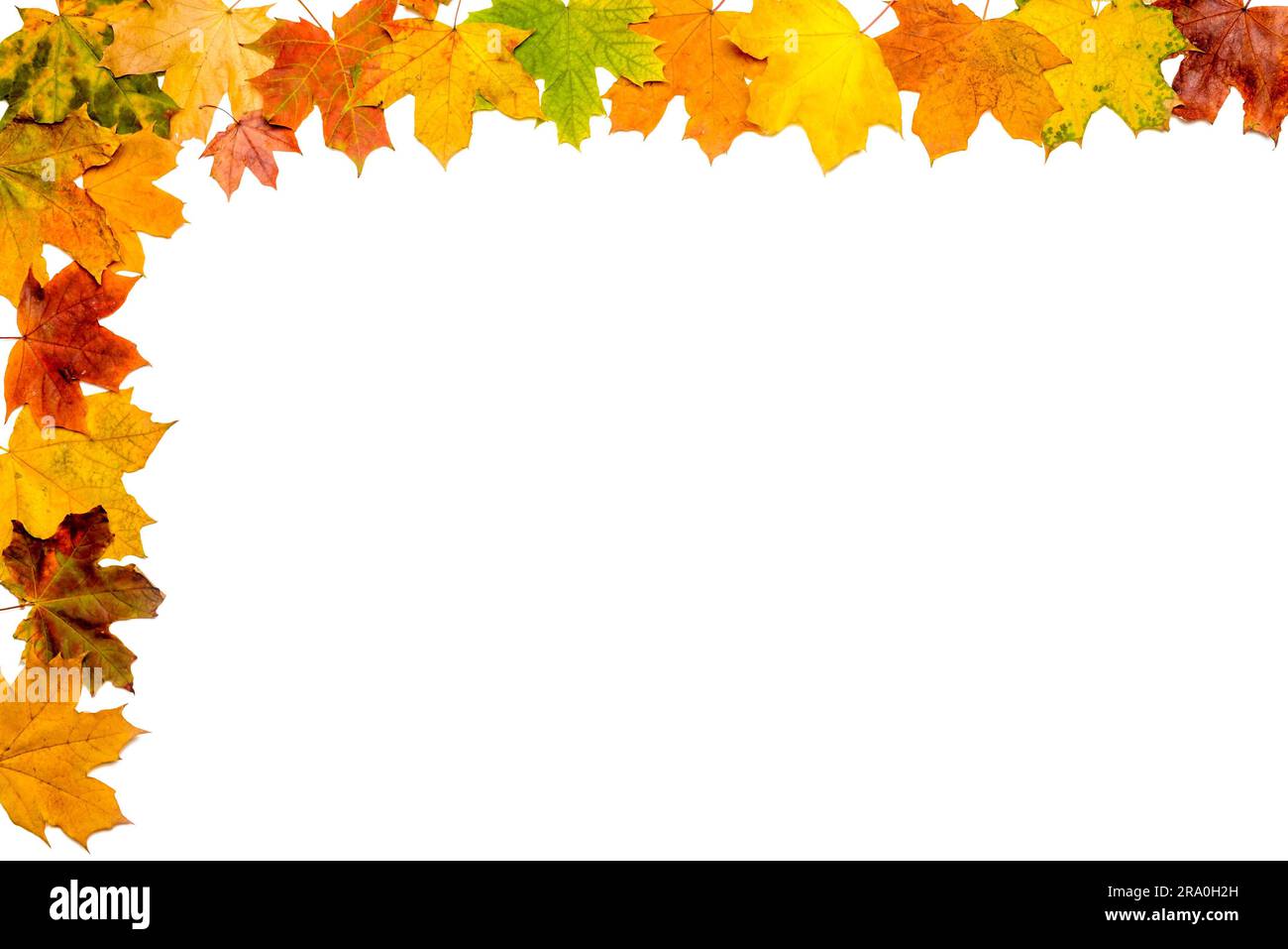 A frame made with autumn leaves isolated on white background Stock ...