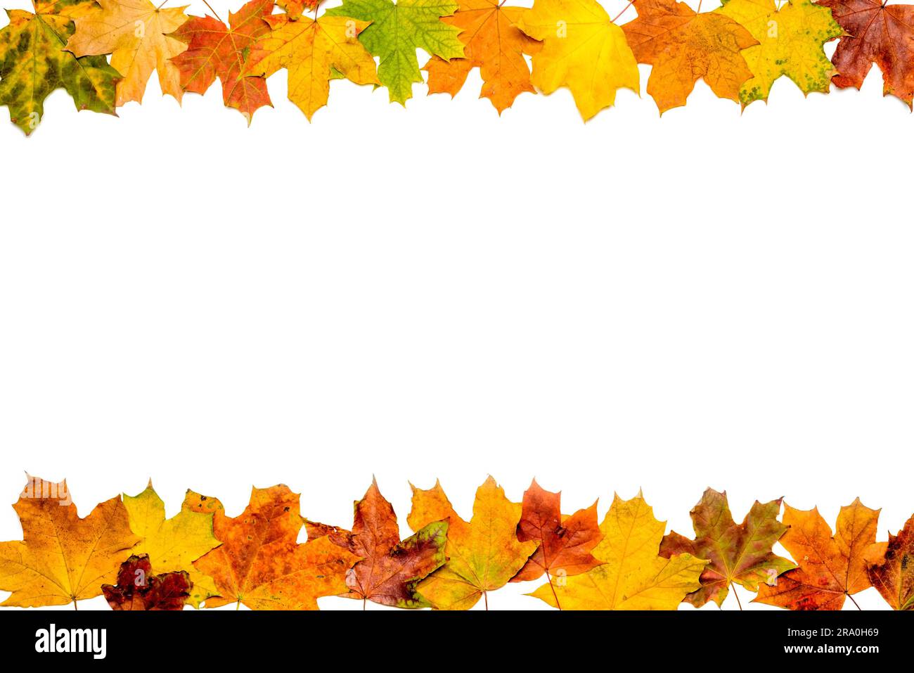 A frame made with autumn leaves isolated on white background Stock ...
