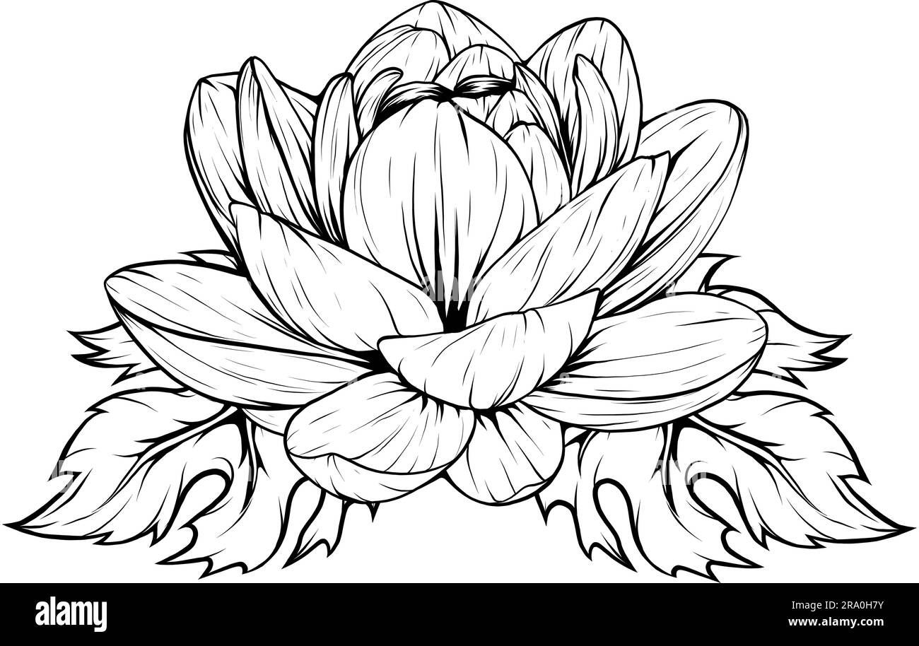illustration-of-lotus-flower-outline-vector-design-stock-vector-image