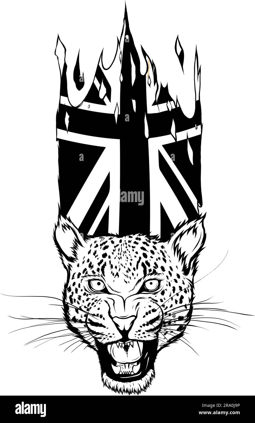 leopard head in black and white outline Stock Vector Image & Art - Alamy