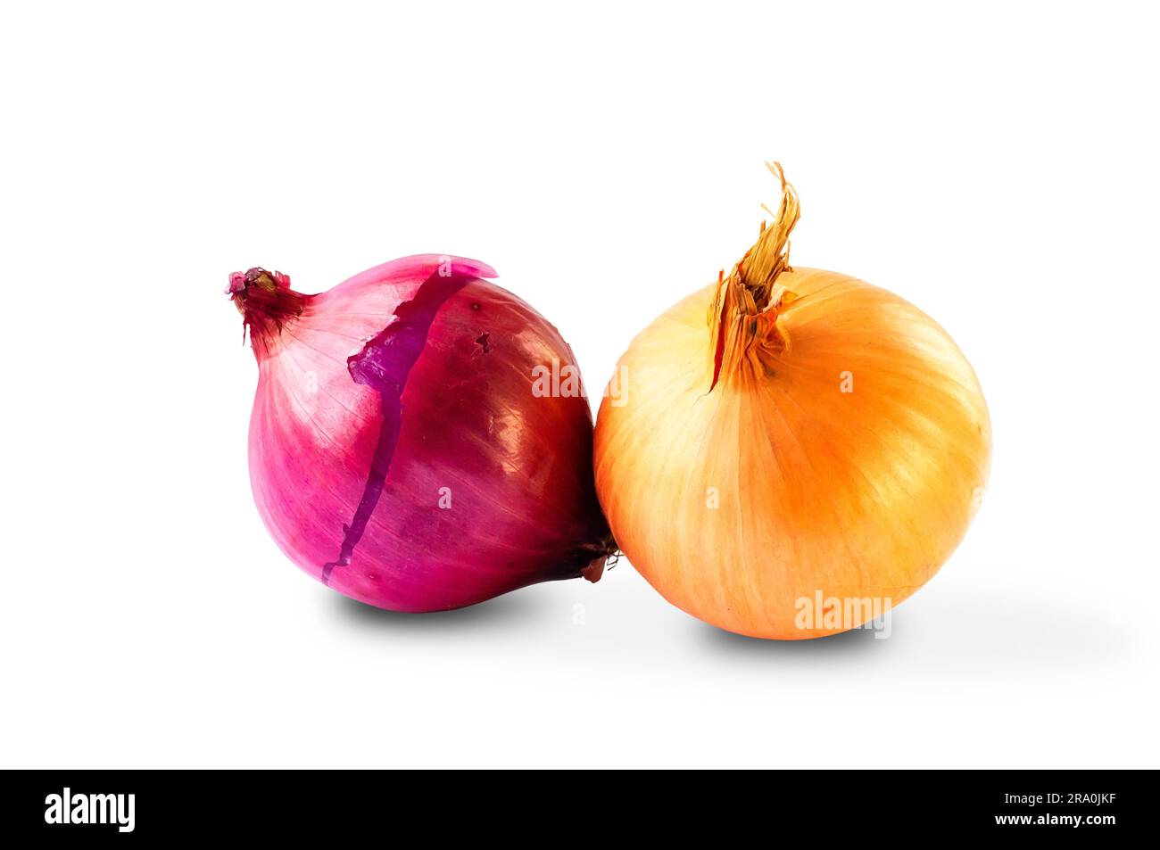 A red and a yellow onion on white background Stock Photo