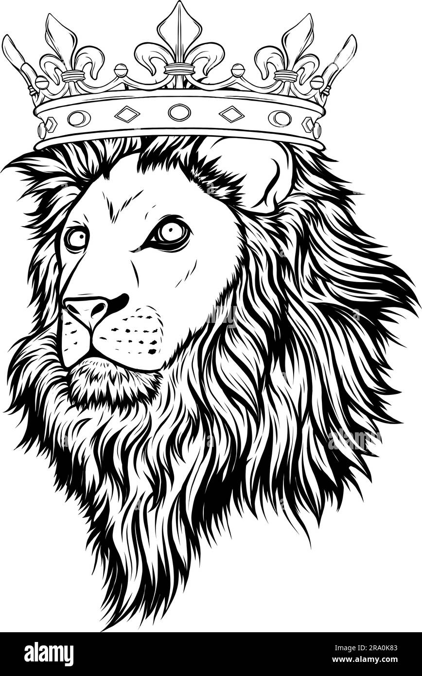 illustration vector of Lion head outline design Stock Vector Image