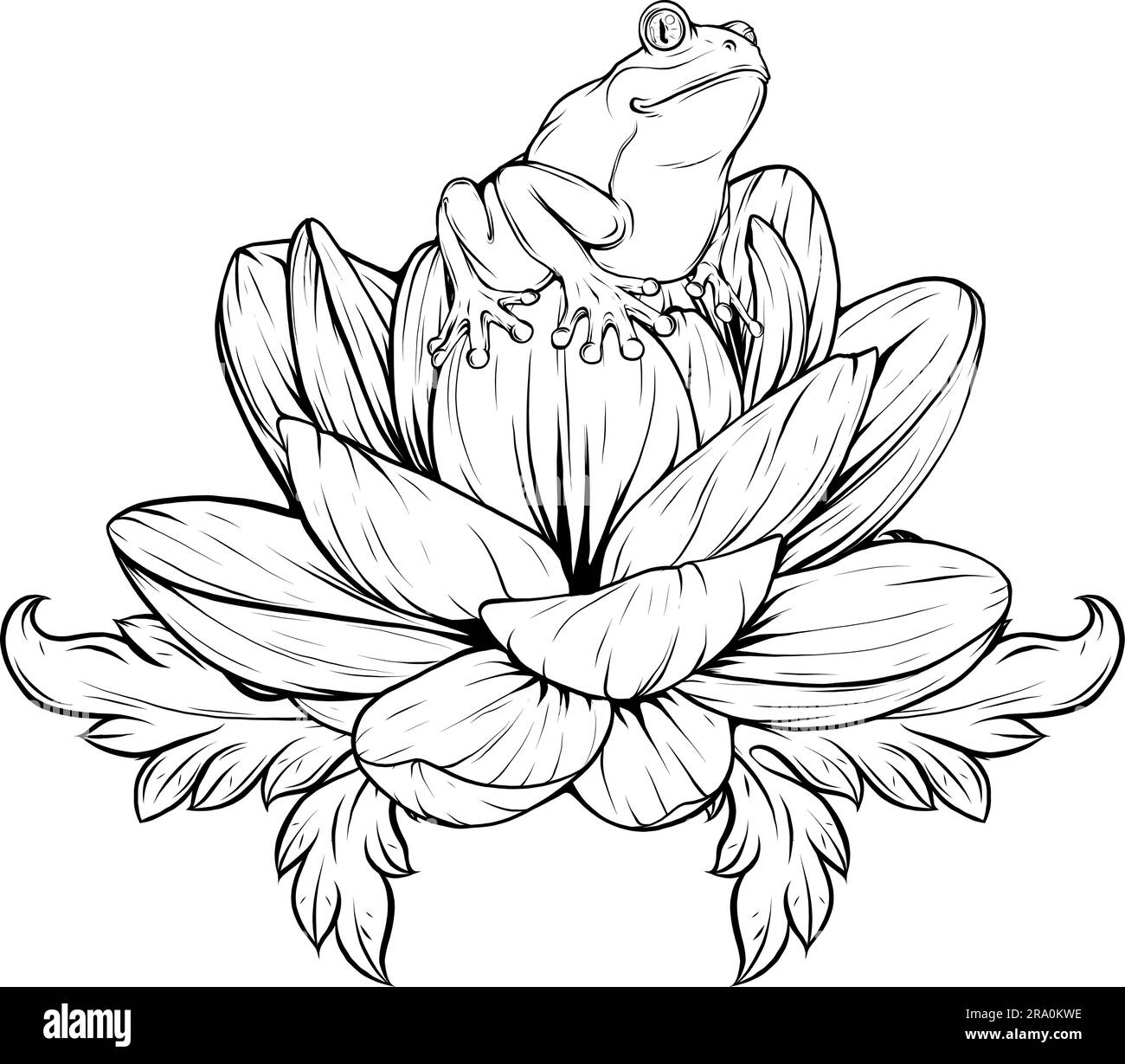 Illustration Of Lotus Flower Outline Vector Design Stock Vector Image illustration-of-lotus-flower-outline-vector-design-stock-vector-image