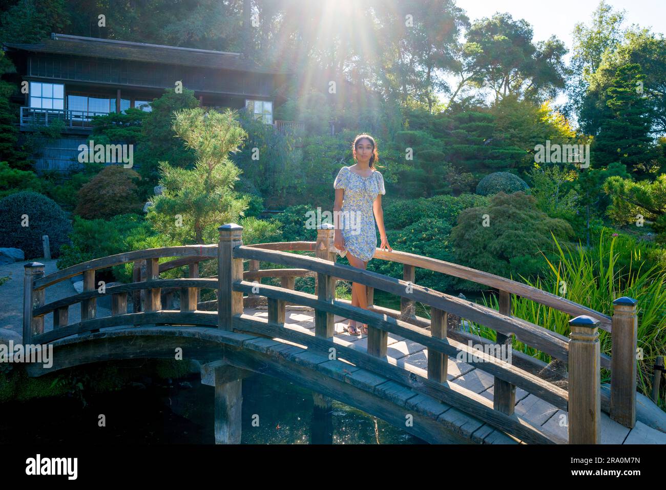 Teenage Girl in Summer Dress Standing on Bridge | Hashi | Backlit | Natural Light Stock Photo