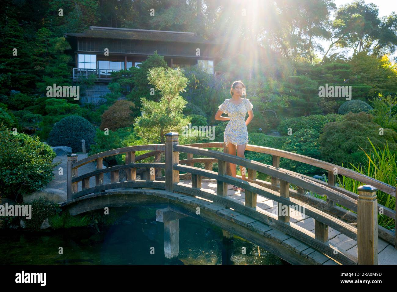 Teenage Girl in Summer Dress Standing on Bridge | Hashi | Backlit | Natural Light Stock Photo