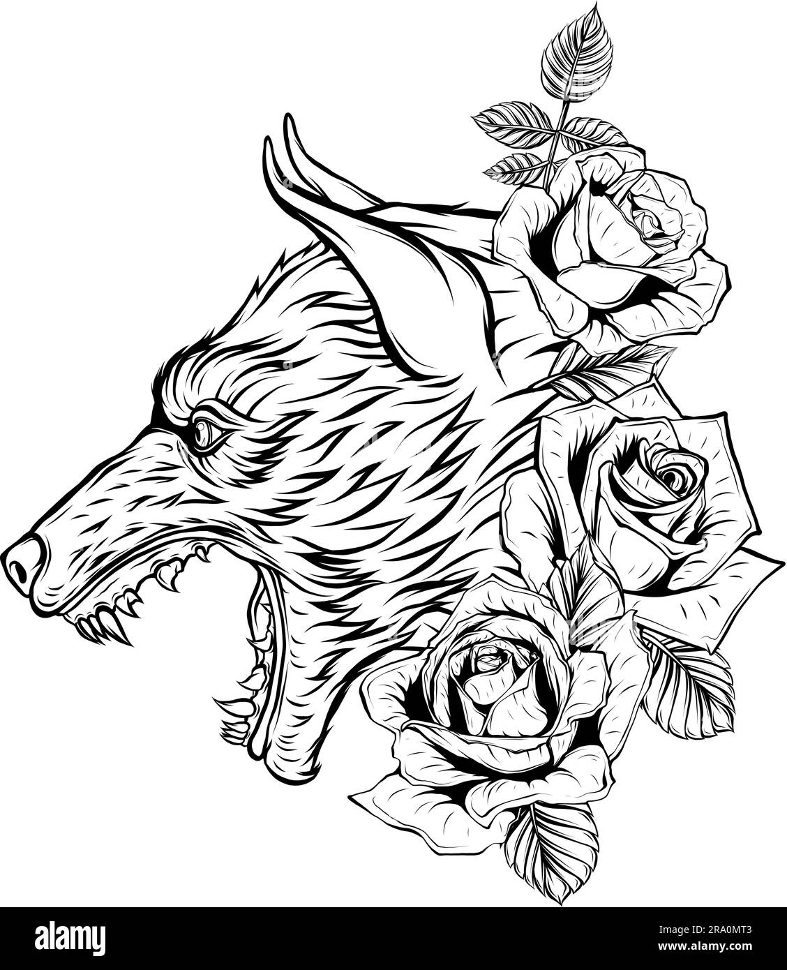 Vector illustration of Wolf head. Outlined drawing. Stock Vector