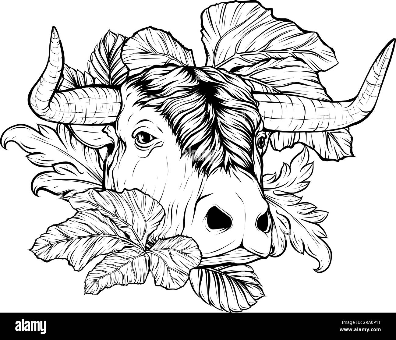 black and white of cow head design Stock Vector Image & Art - Alamy