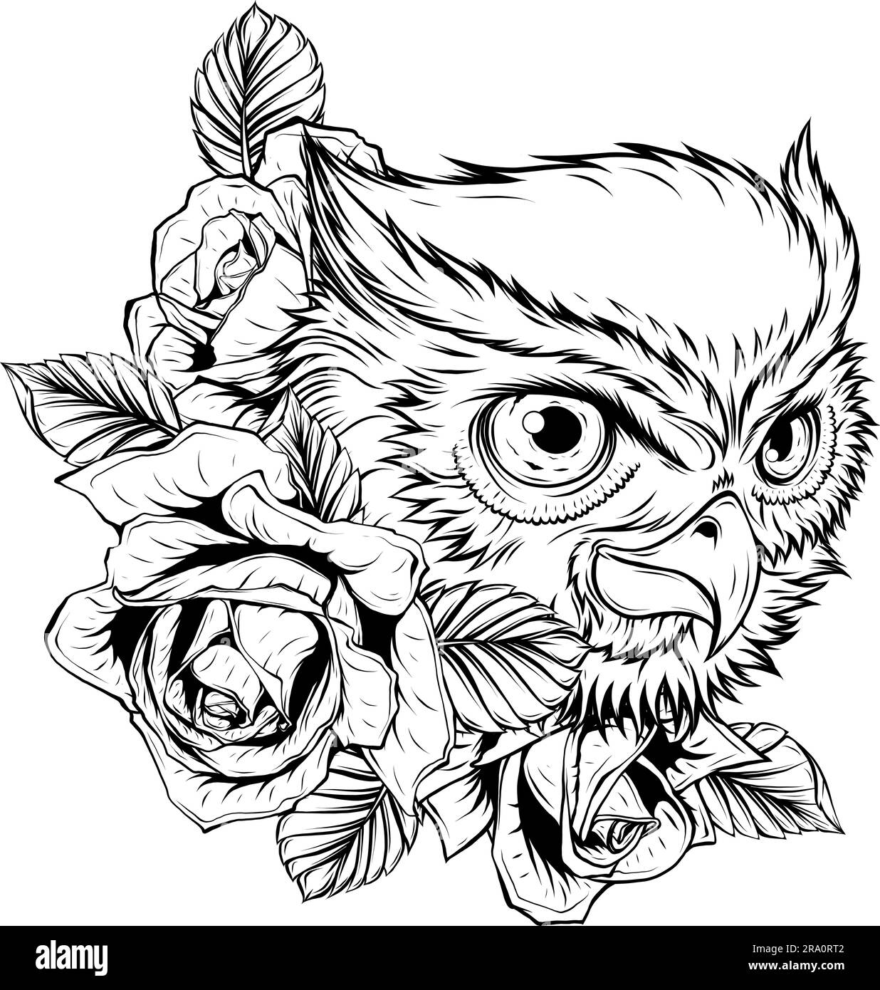 vector illustration of outline Owl head design Stock Vector Image & Art