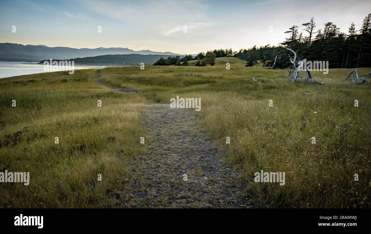 Grass Pathway Leading Into The Distance At Helliwell Provincial Park On ...