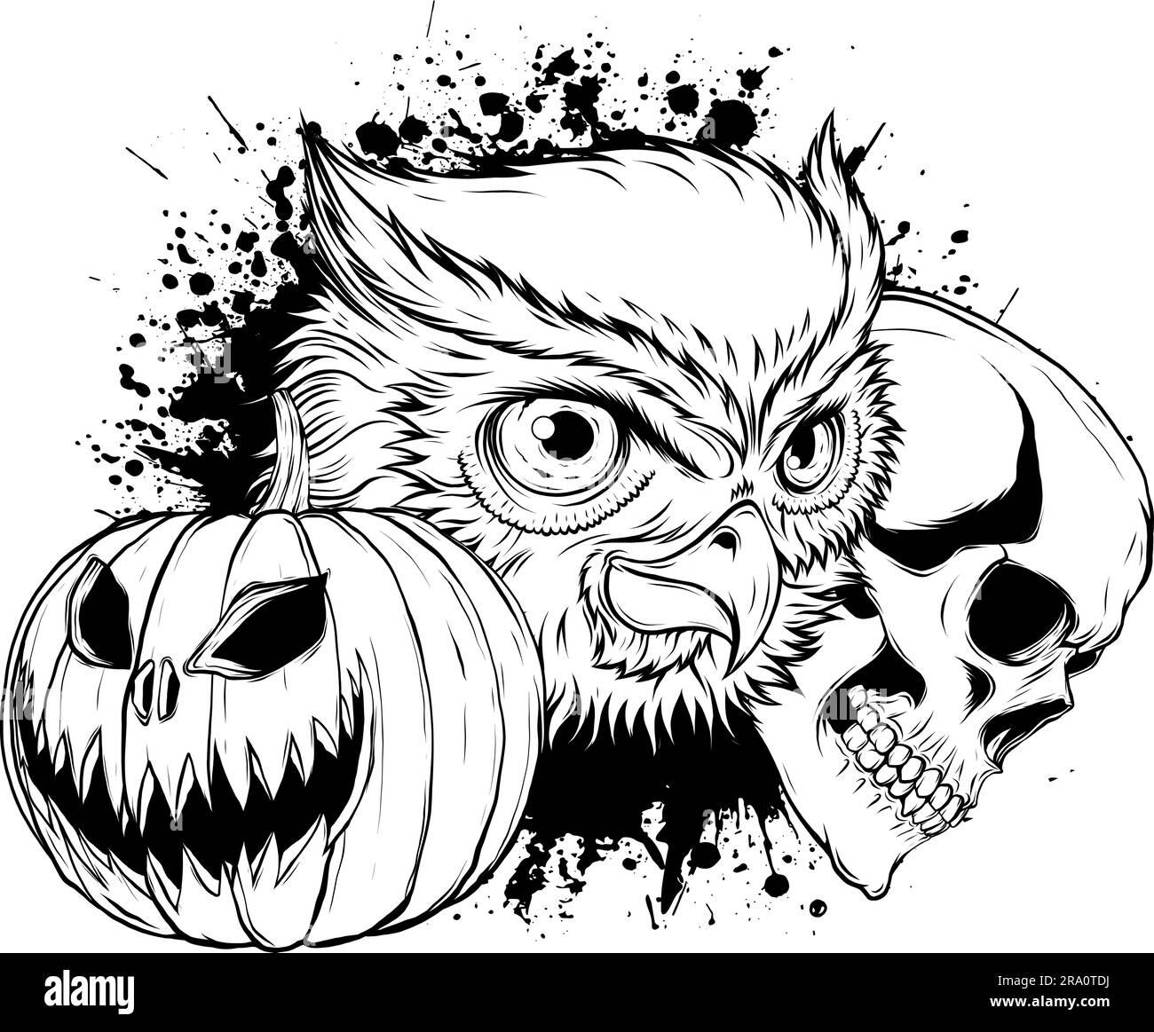 vector illustration of outline Owl head design Stock Vector Image & Art