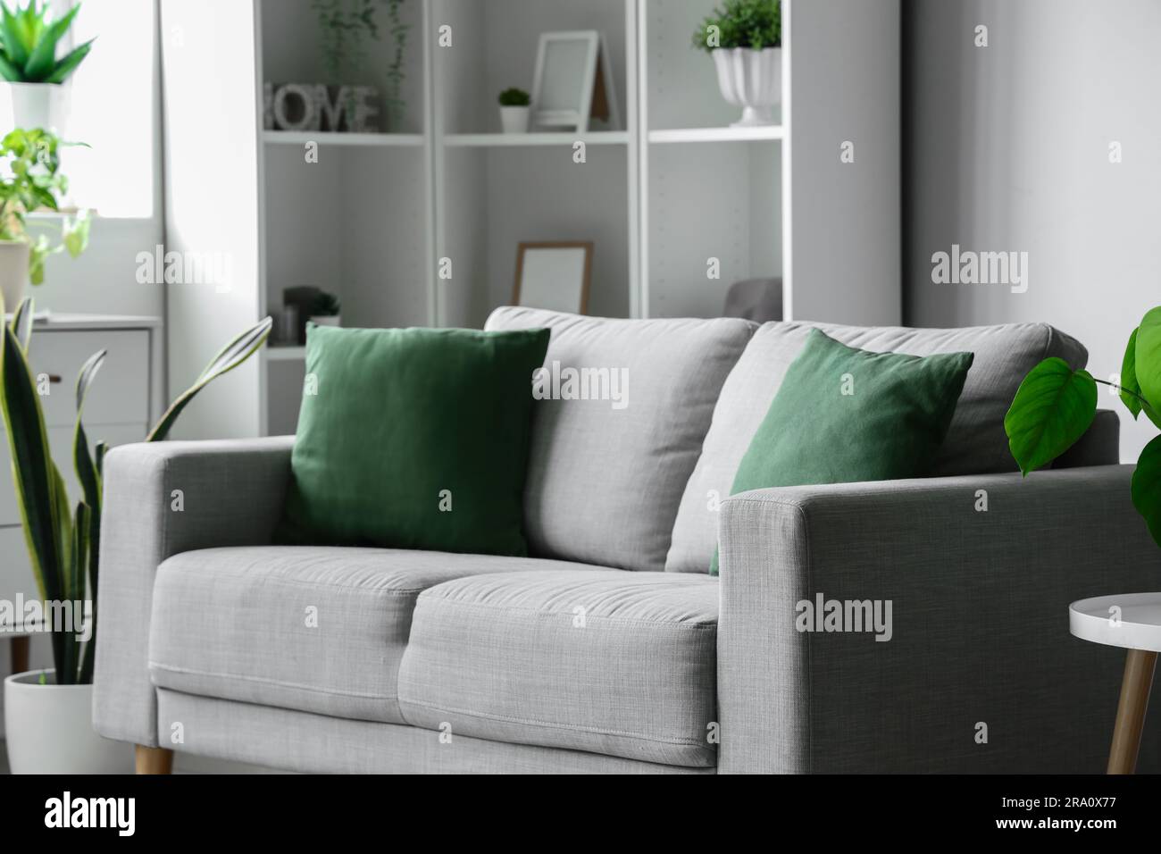 Cozy grey sofa with green cushions in interior of light living room Stock  Photo - Alamy