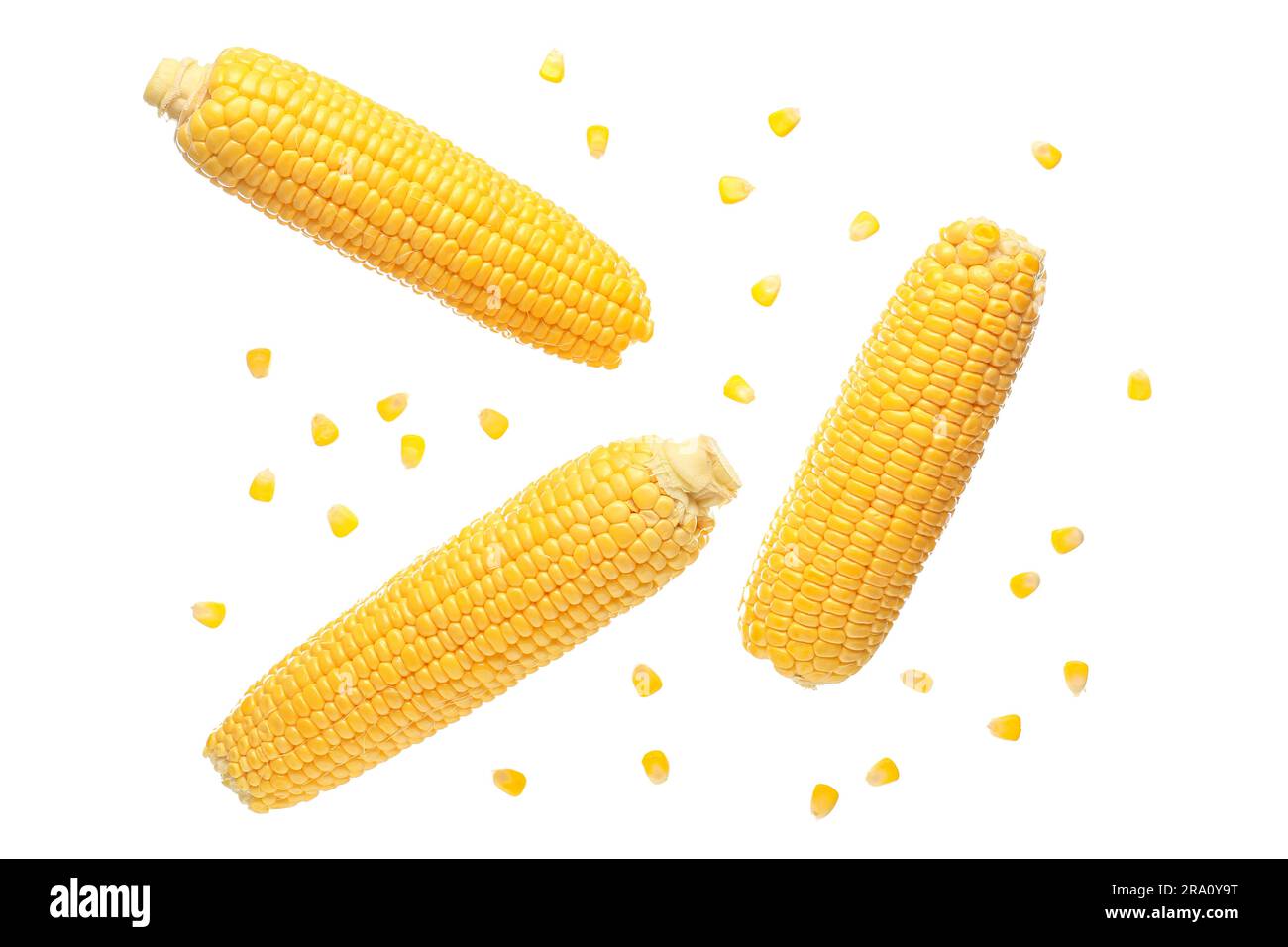 Fresh corn cobs and seeds on white background Stock Photo