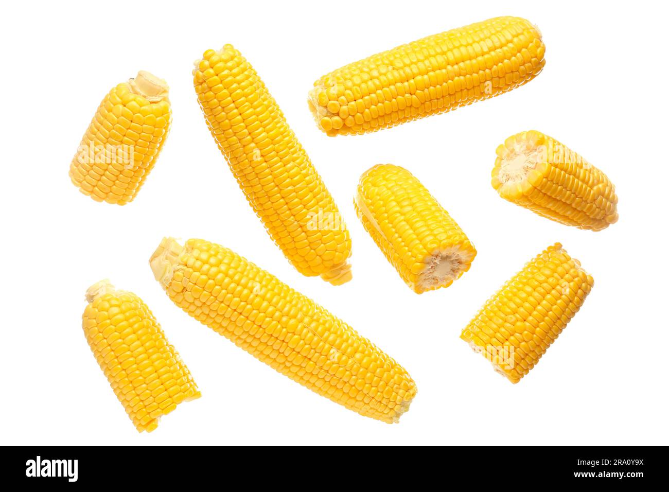 Fresh corn cobs on white background Stock Photo