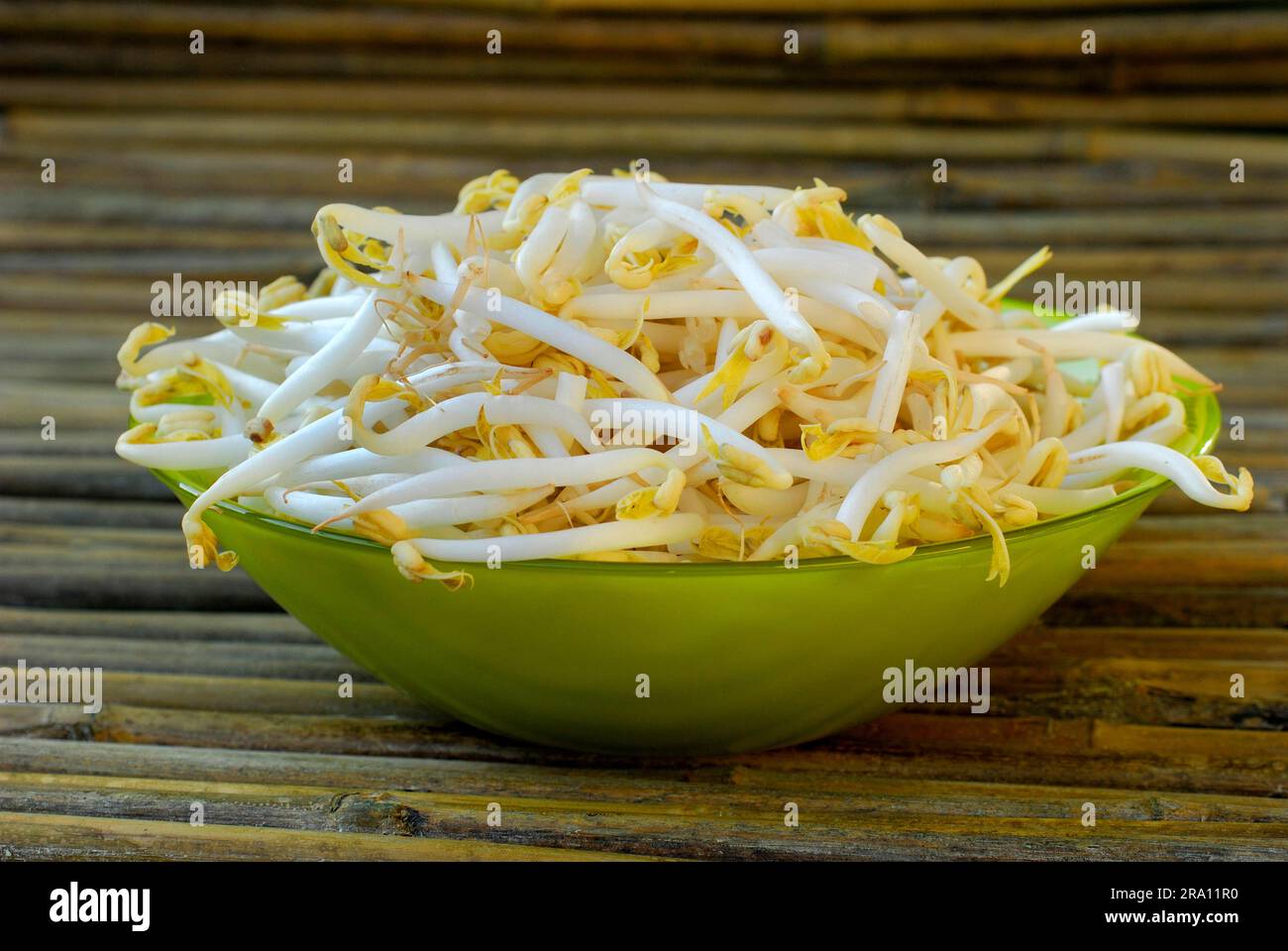 Mung beanstree sprouts in shell (Vigna mungo) (Phaseolus mungo), Mung beans (Phaseolus radiatus) (Vigna radiata) Seedlings Stock Photo