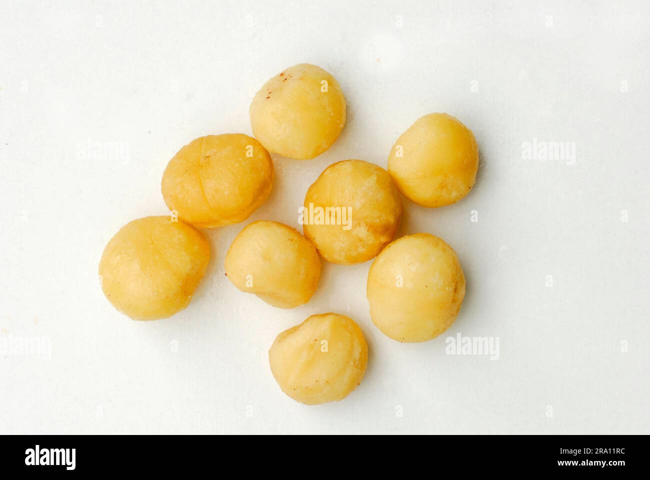 Macadamia nuts, macadamia, macadamia nut, Proteaceae (Proteaceae) Stock Photo