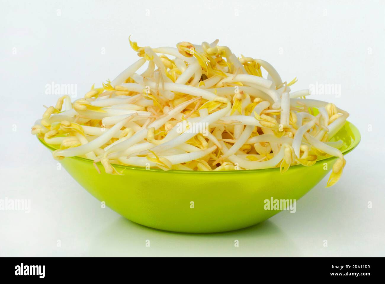 Mung beanstree sprouts in shell (Vigna mungo) (Phaseolus mungo), Mung beans (Phaseolus radiatus) (Vigna radiata) Seedlings Stock Photo