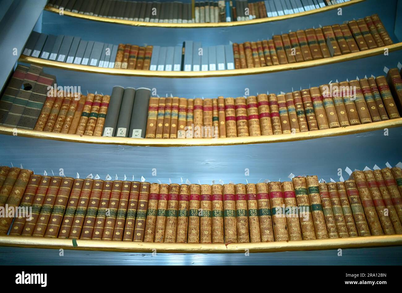 Bookshelf with old books, Duchess Anna Amalia Library, Rococo Hall