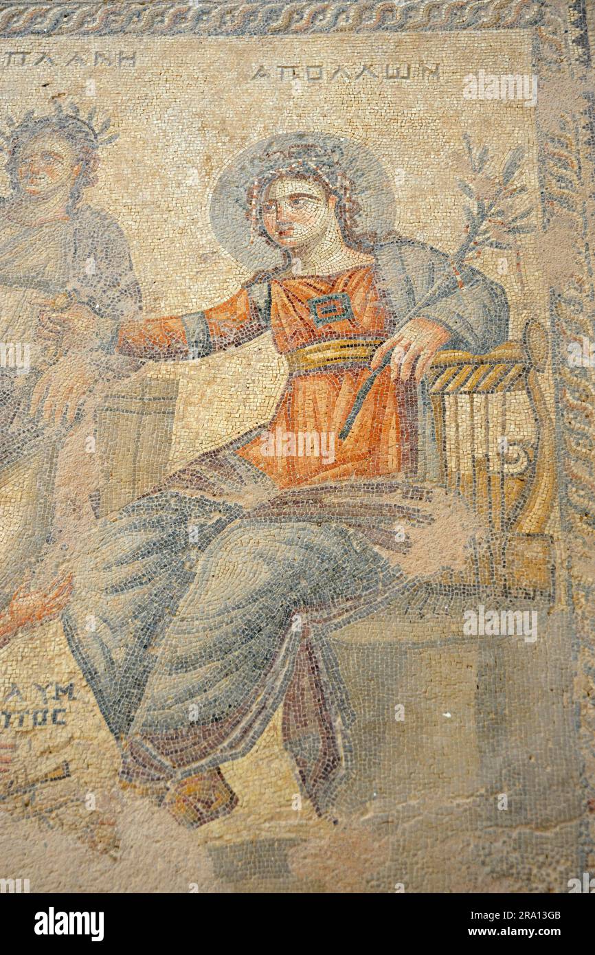 Roman mosaic, Paphos, Cyprus Republic Stock Photo