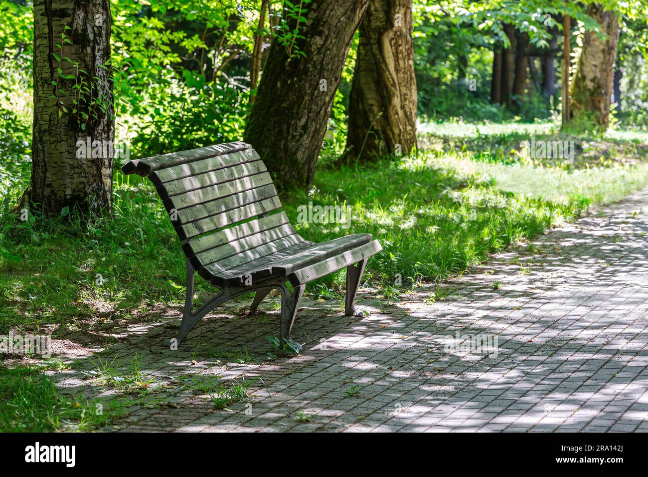 empty wooden bench in a park on a beautiful summer sunny day. park bench  under the shade trees Stock Photo - Alamy