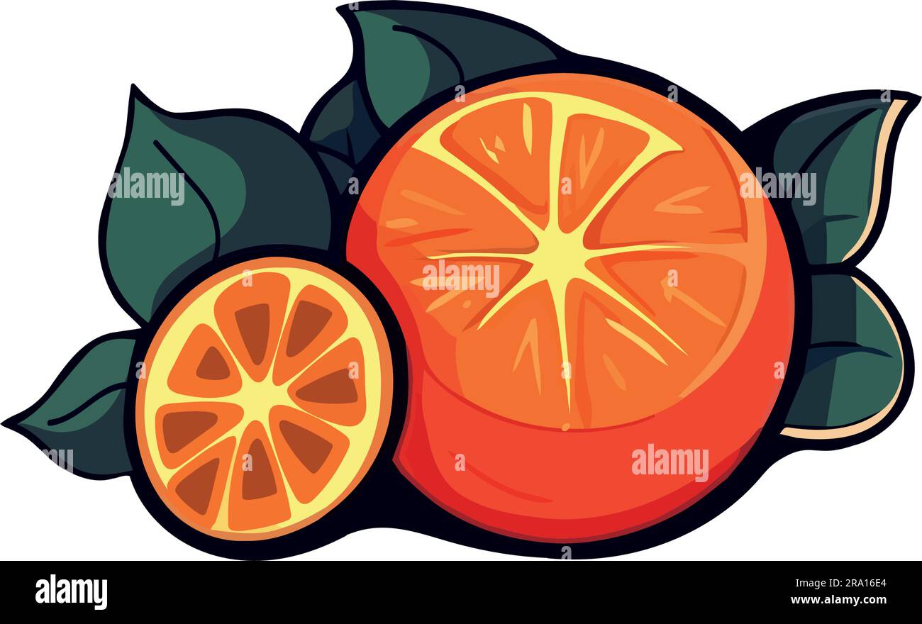 Juicy citrus slice, ripe and fresh nature Stock Vector