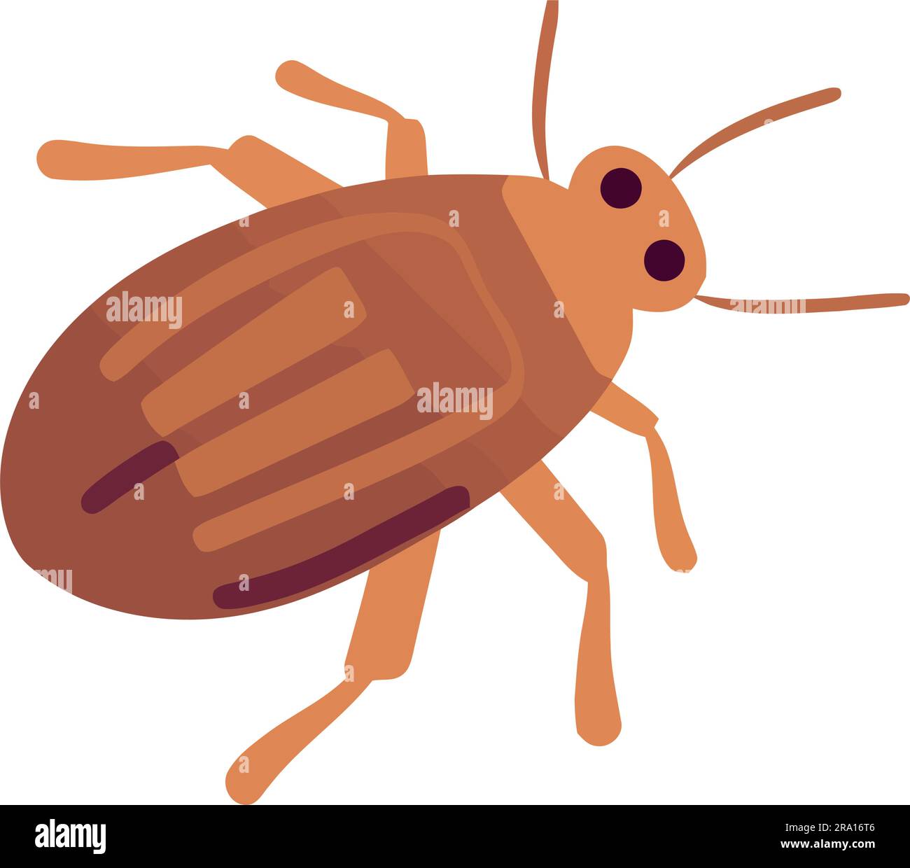 Small insect symbol isolated on white background Stock Vector Image ...