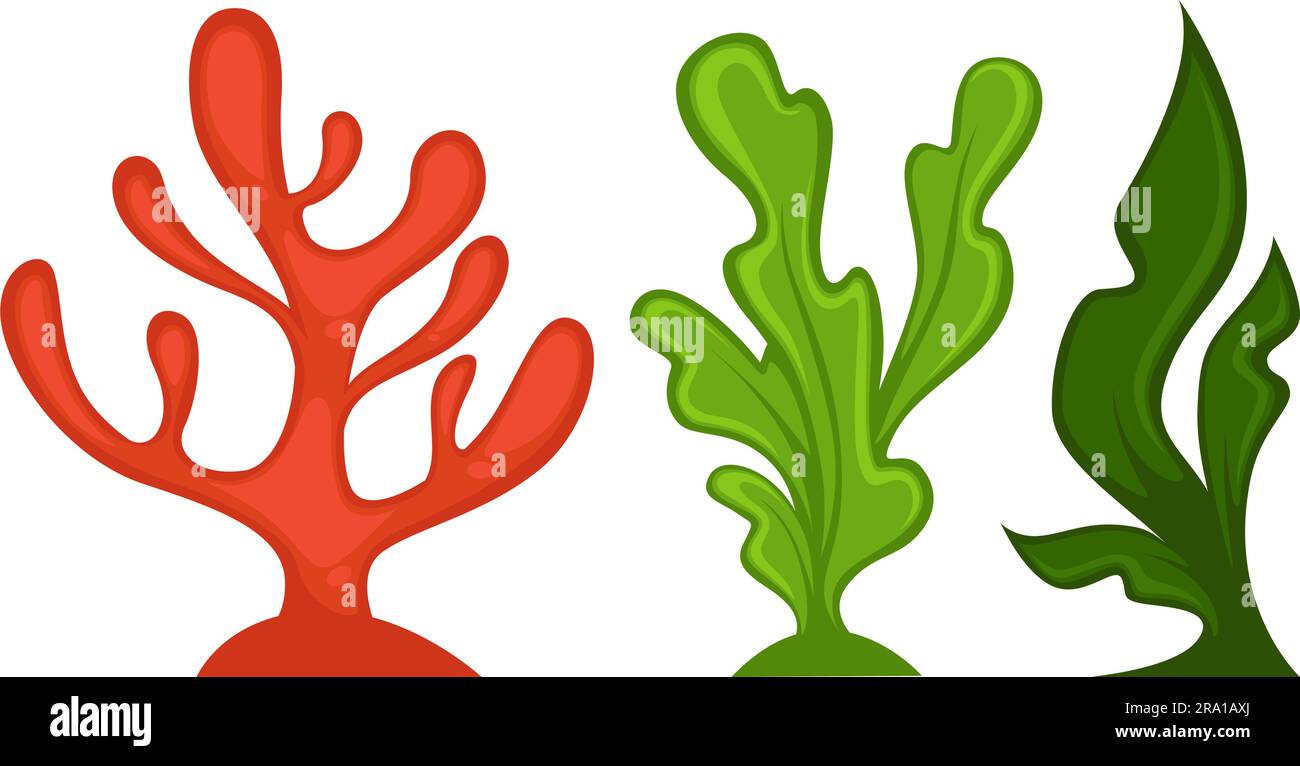 Aquarium seaweeds and decoration flora vector Stock Vector Image