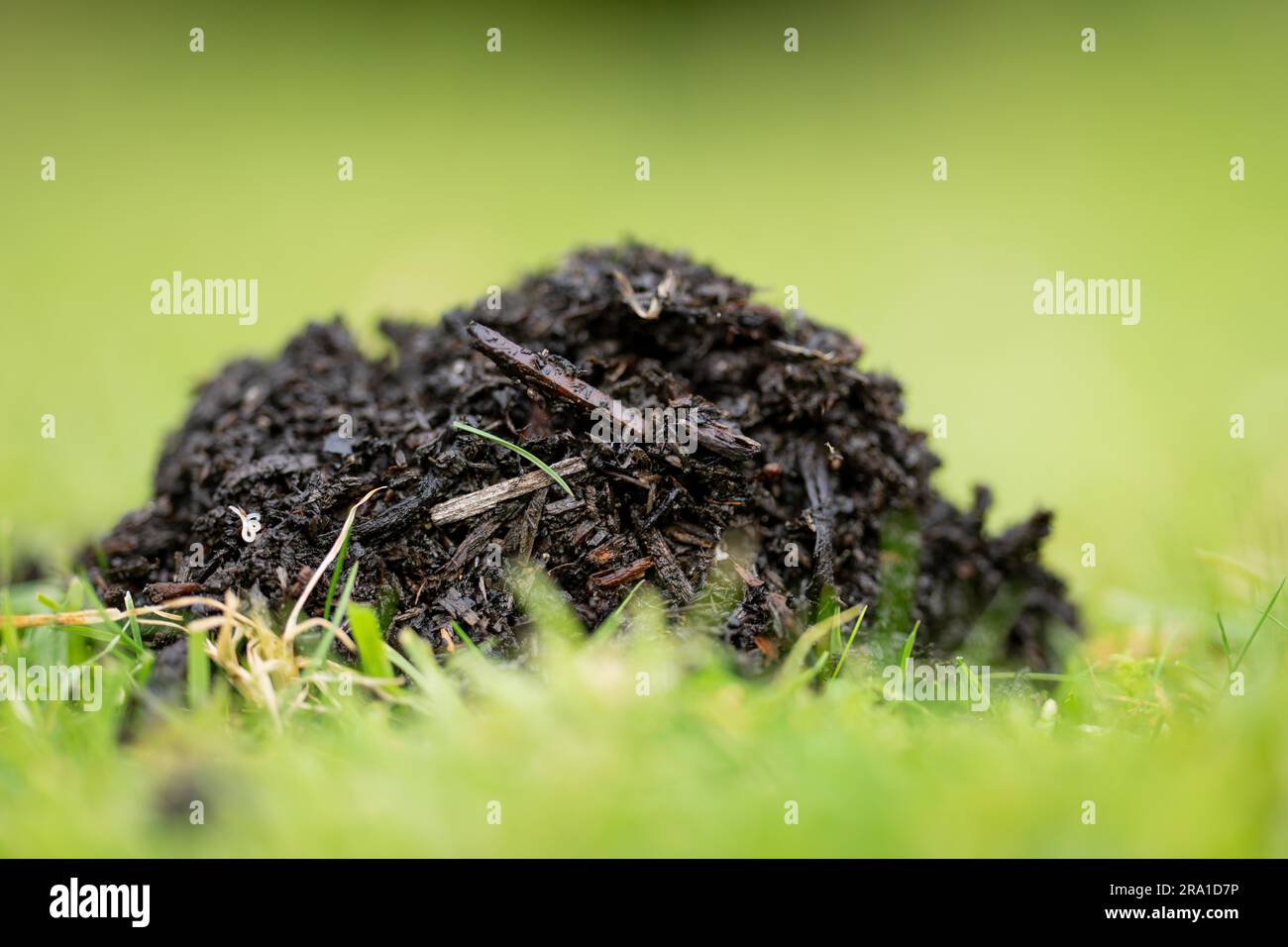 Hot composter hi-res stock photography and images - Alamy