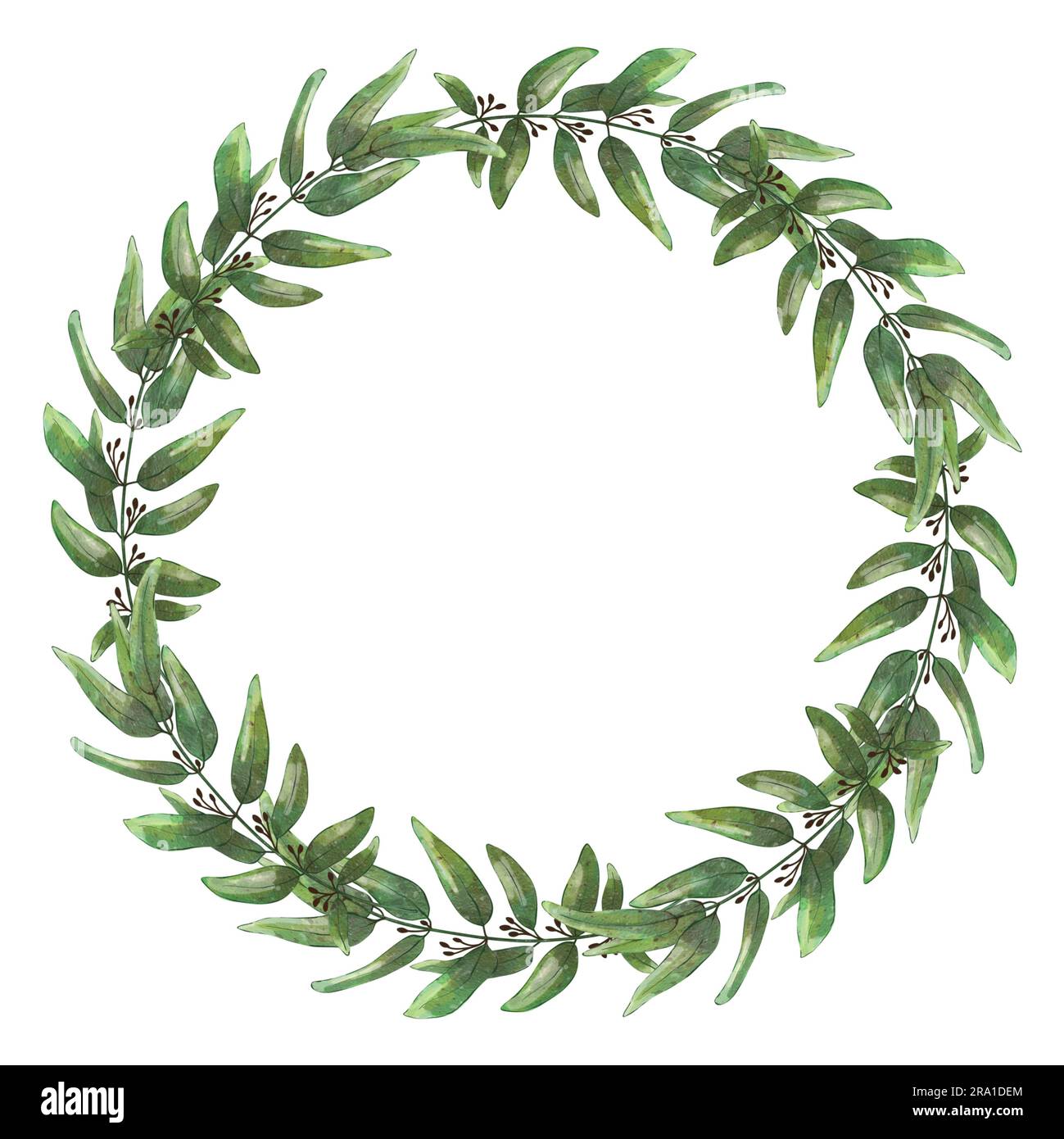 Watercolor green wreath. Leaves and branches, hand drawn illustration ...