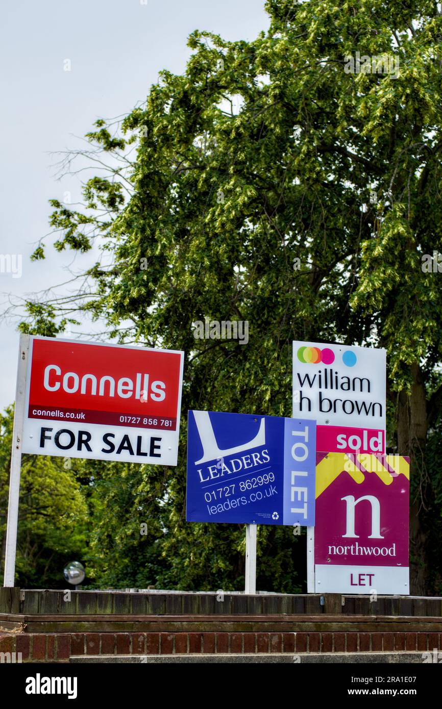 Estate Agents Boards in a  row, St.Albans, Hertfordshire, England,UK Stock Photo