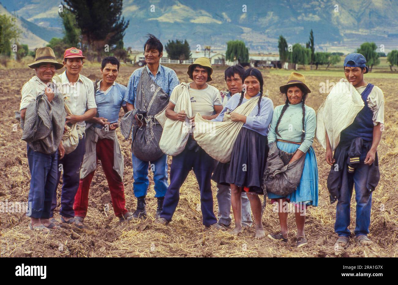 Peru, Cusco region, group of farm workers has lunch break after potato harvest Stock Photo