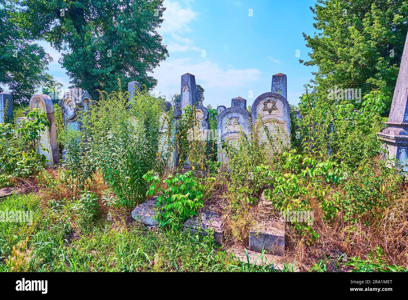 The stone headstones on theovergrown Jewish Cemetery on Zelena Street, Chernivtsi, Ukraine Stock Photo