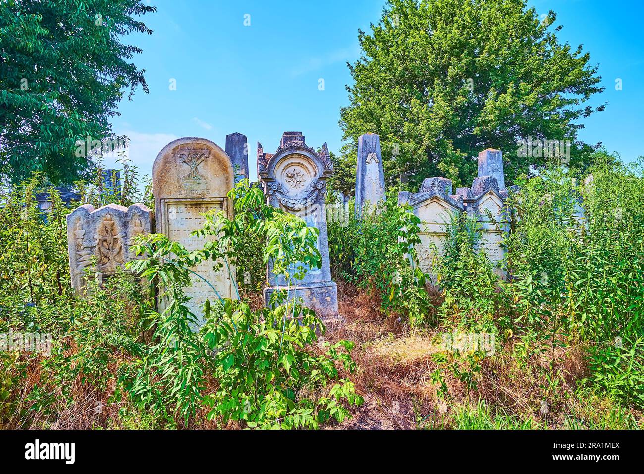 The ruins of vintage headstones on the overgrown Jewish Cemetery on Zelena Street, Chernivtsi, Ukraine Stock Photo