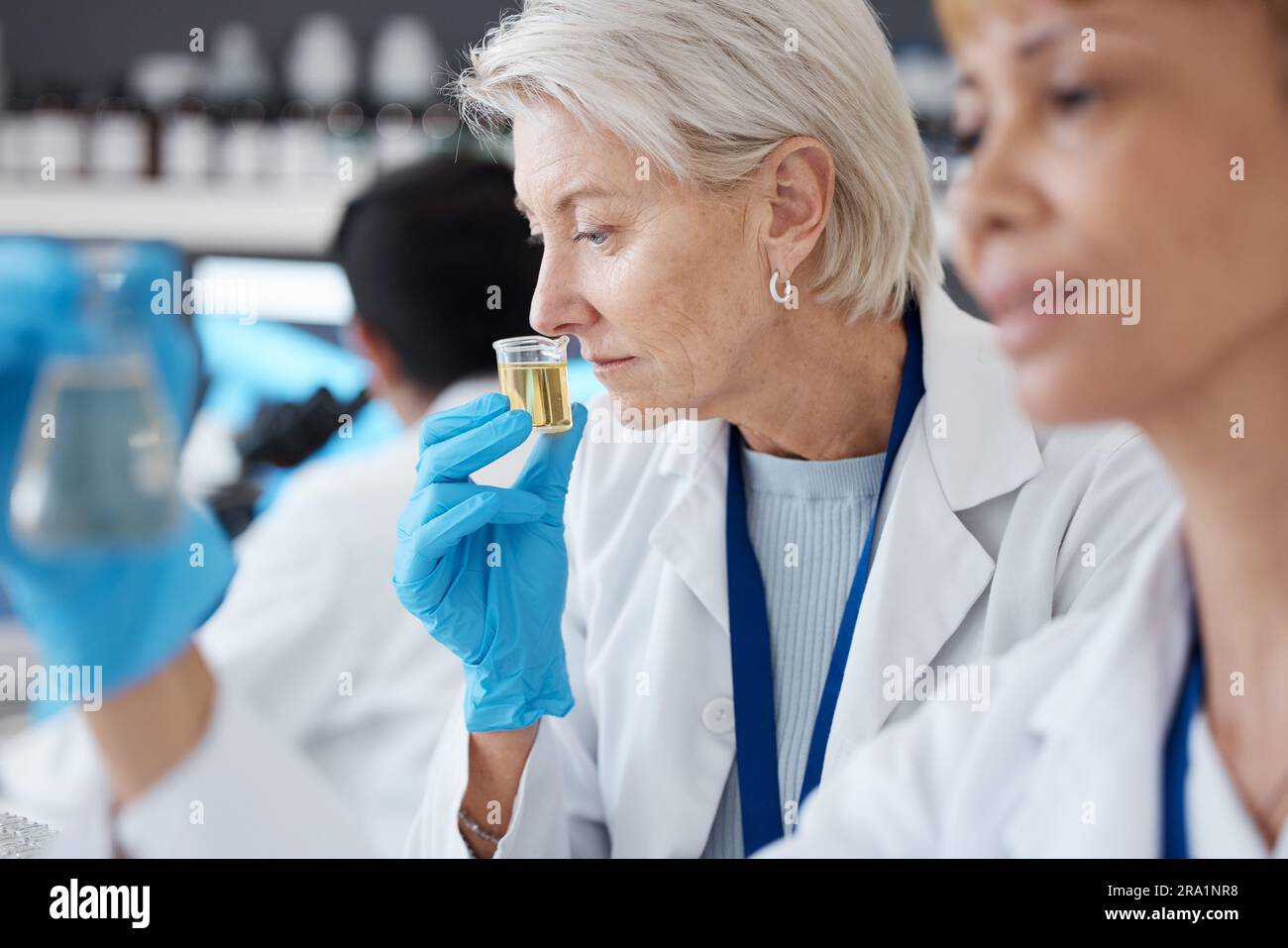 Essential oil, development and scientist smell sample in a lab doing research of organic and
