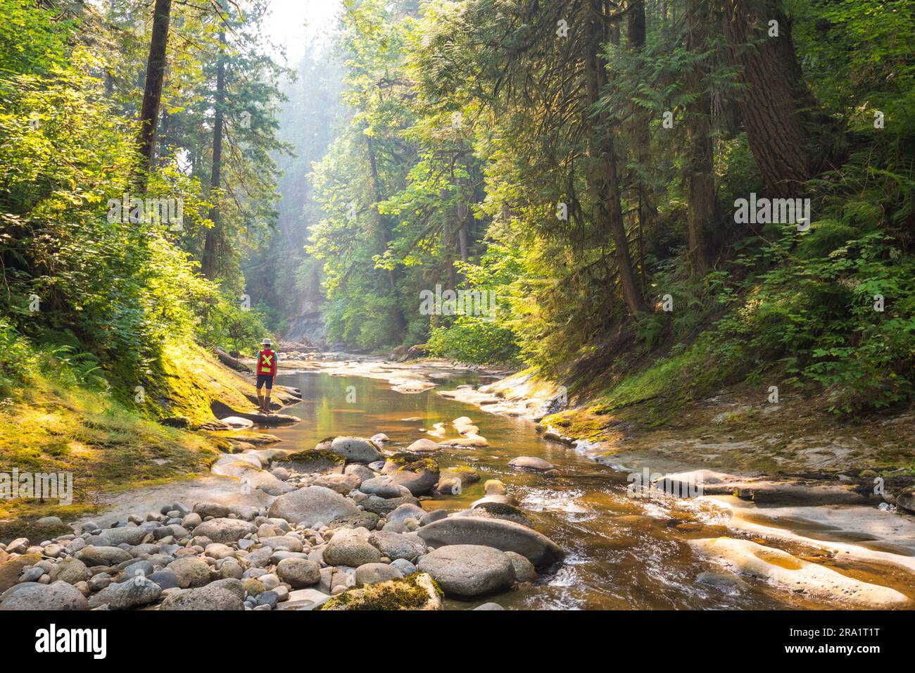Biologist conducting stream survey, Maple Ridge, British Columbia, Canada Stock Photo