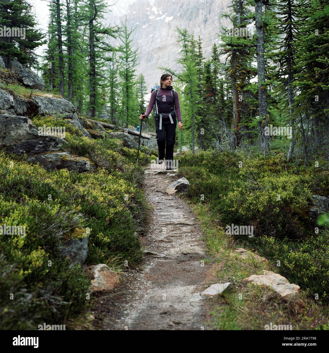 Young woman walks along bush hi-res stock photography and images - Alamy