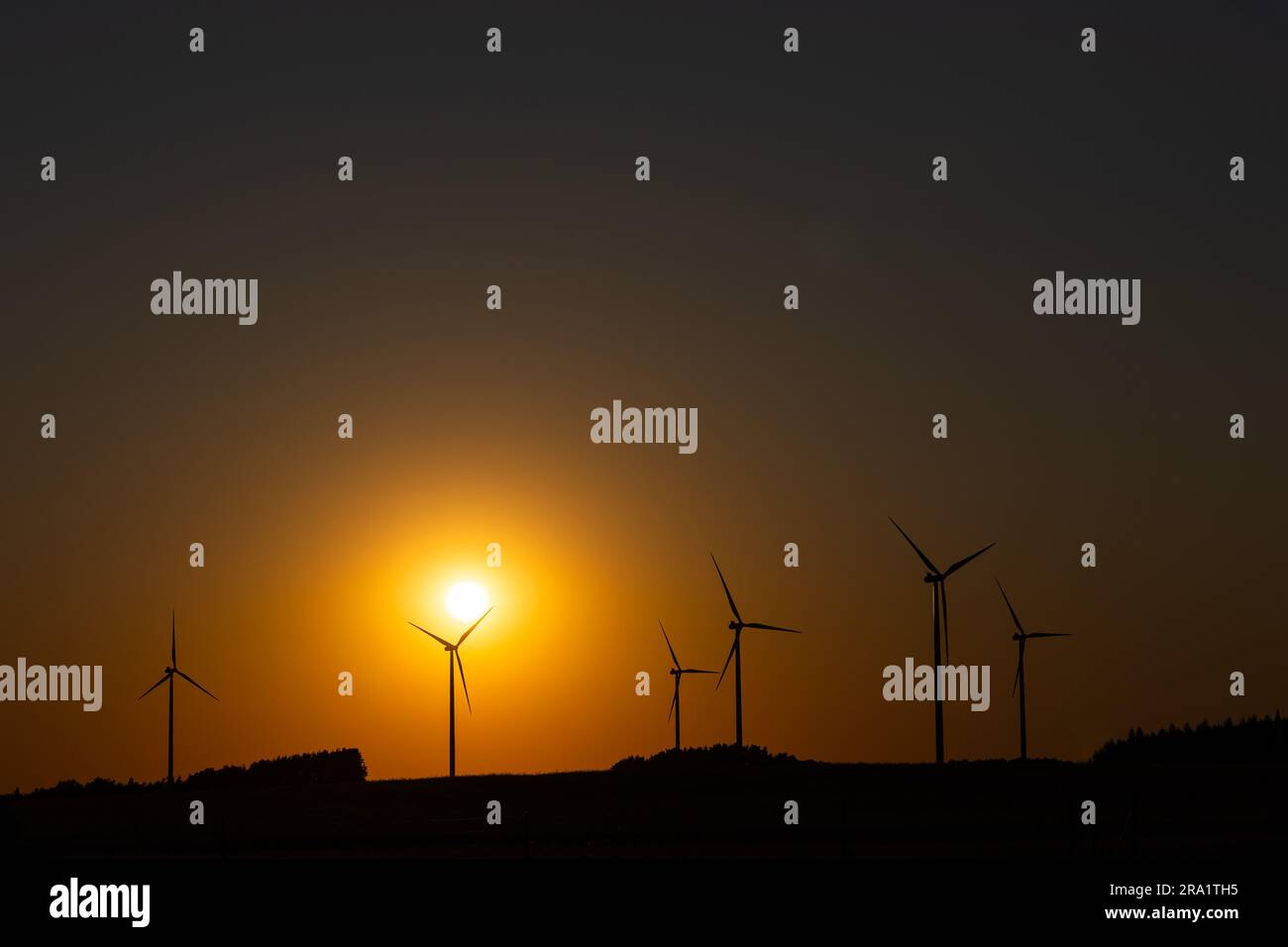 Many wind turbines spinning slowly against an orange sky during sunset