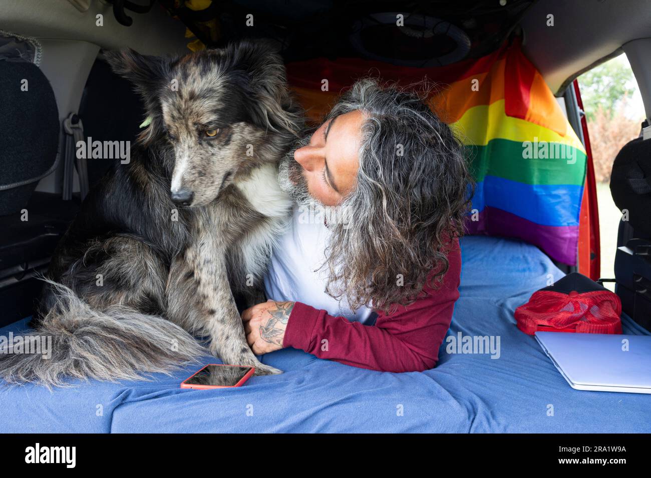 Regulatory Framework And Ingredient Analysis Of The Pet Grooming, Coat ...