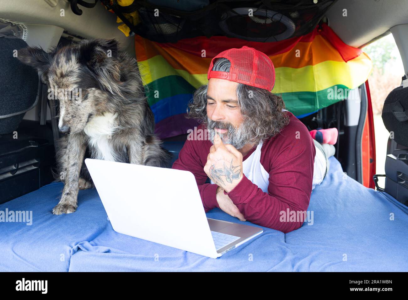 Van dog cheap traveler