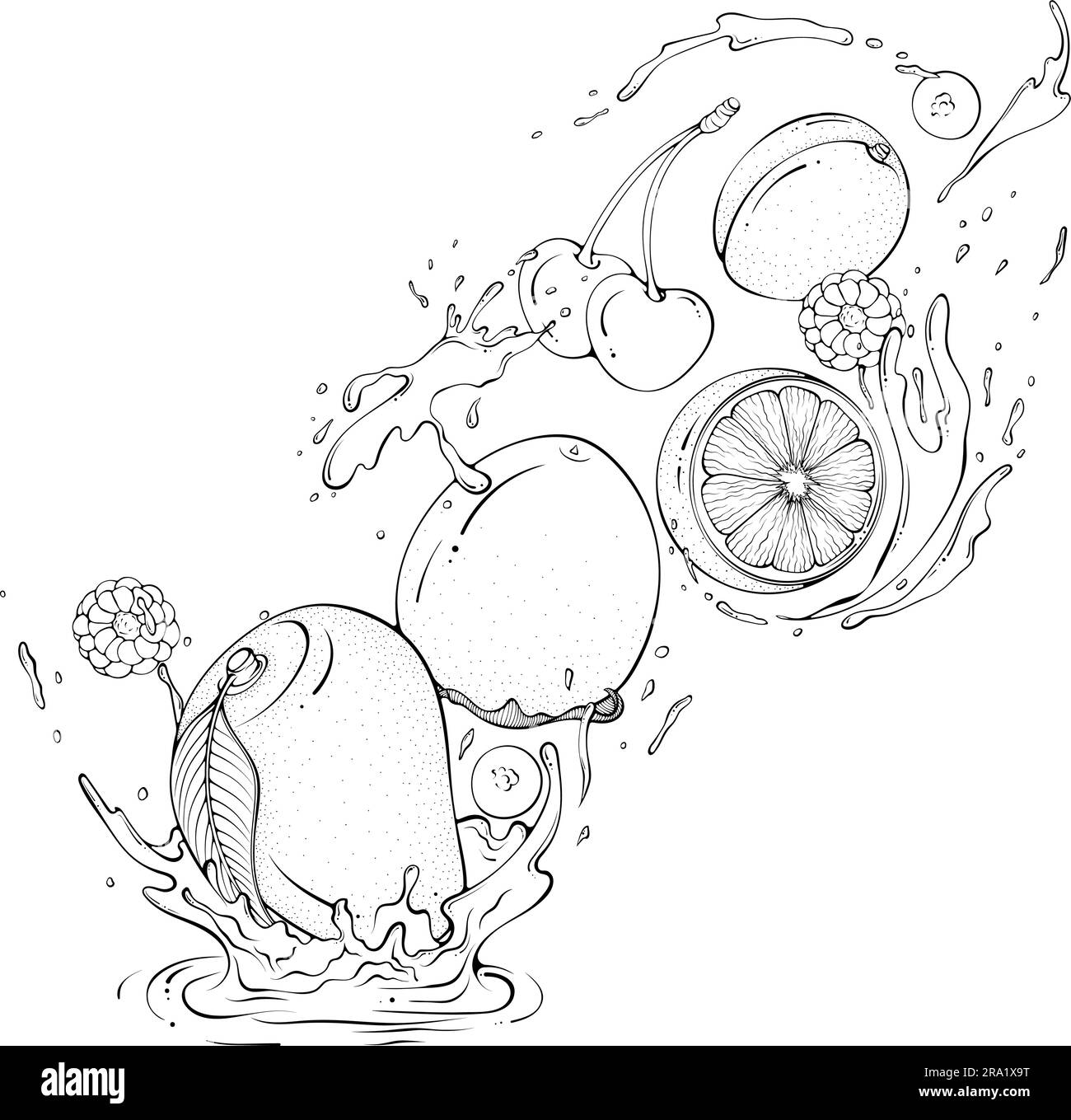 Flying Fruits With Splashes Of Water Line Art Stock Vector Image Art flying-fruits-with-splashes-of-water-line-art-stock-vector-image-art