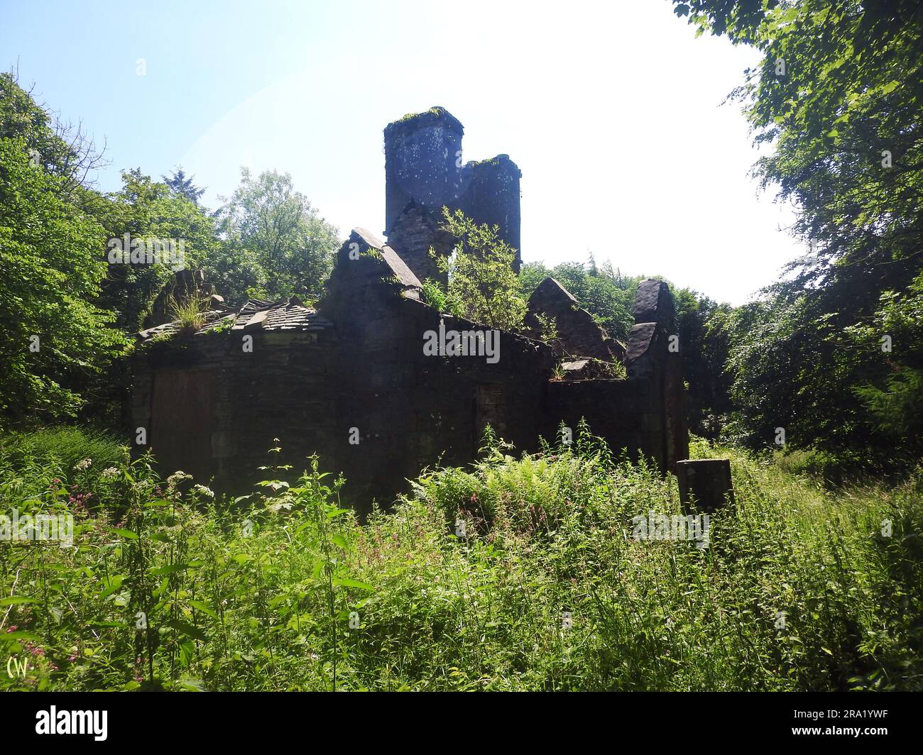 Ruined farmhouse home, Wigtownshire, Scotland. Stock Photo