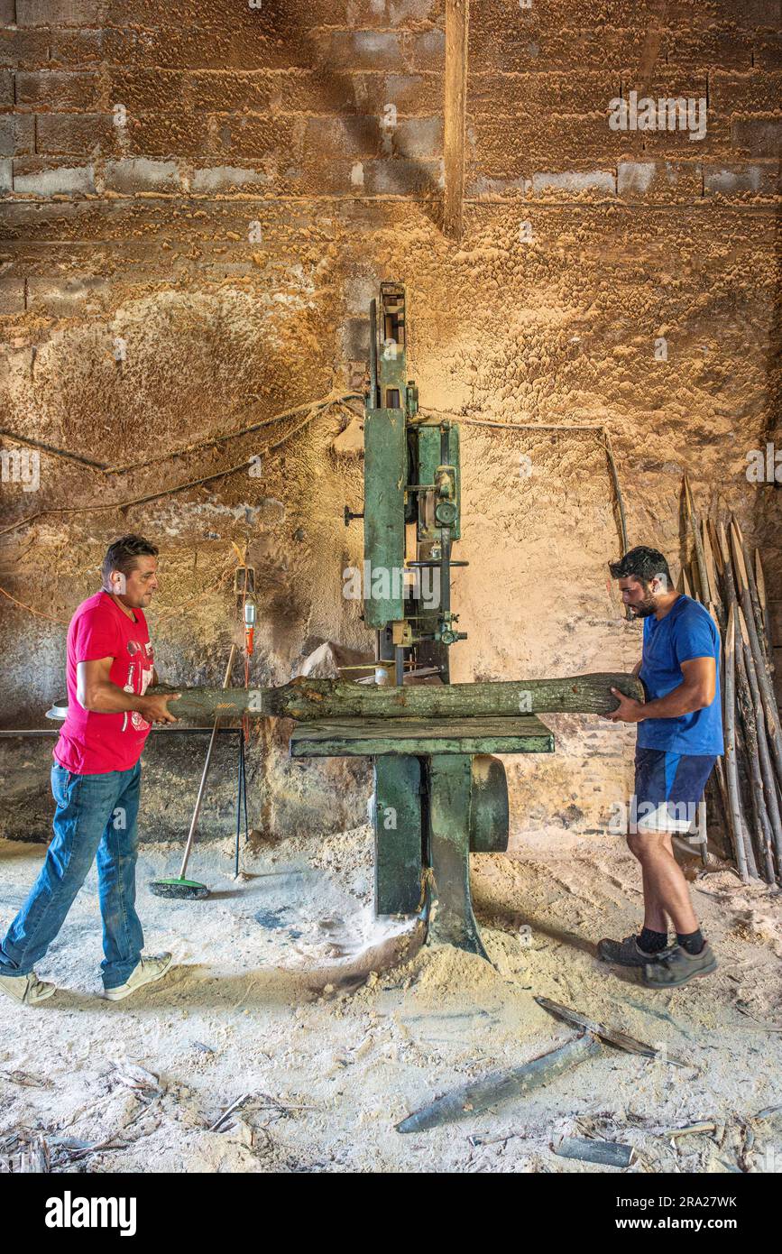 Old bandsaw machine outlet