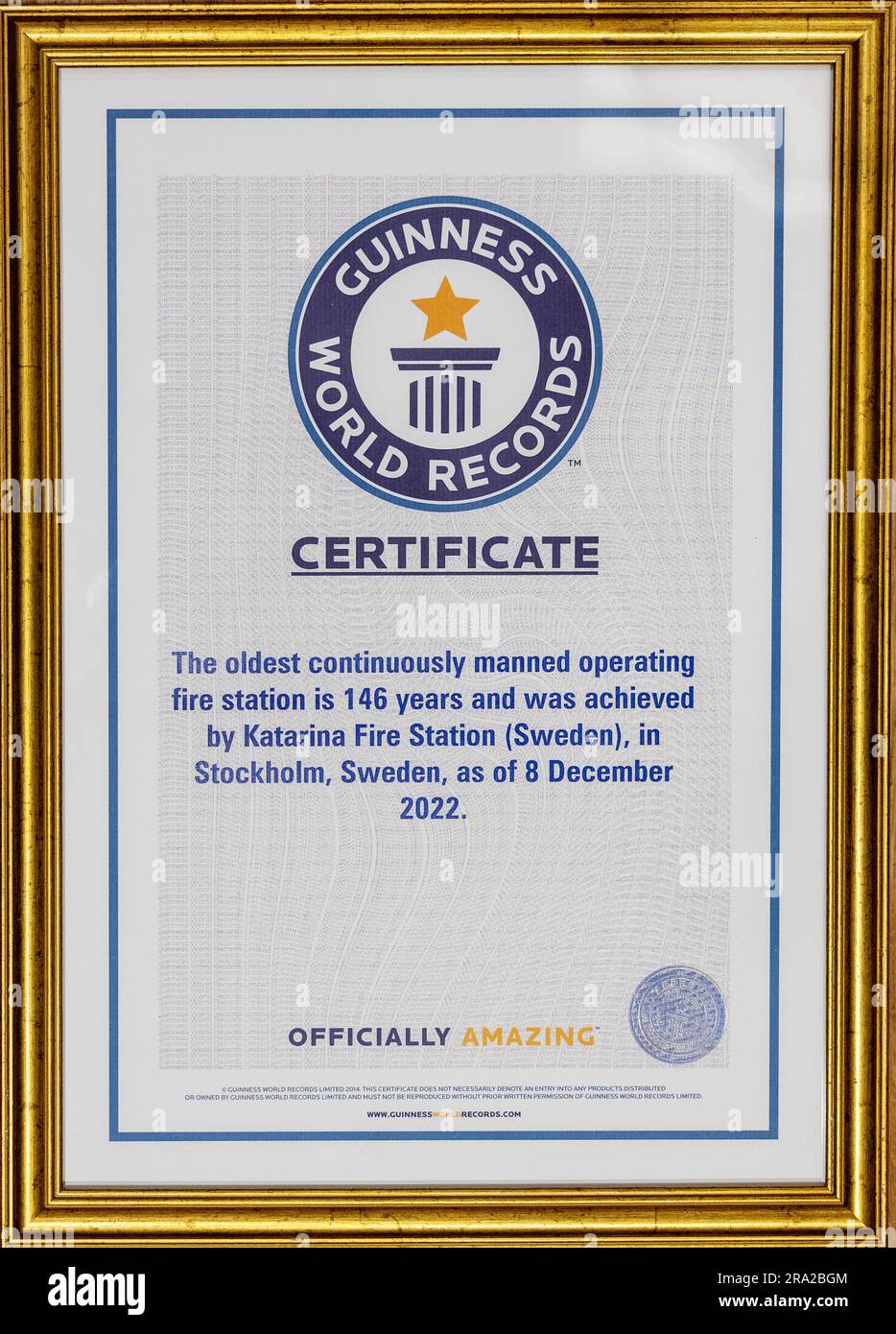 World Record Certificate Template