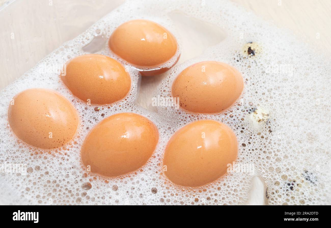 chicken and quail eggs in soapy soda water in container. Hygiene