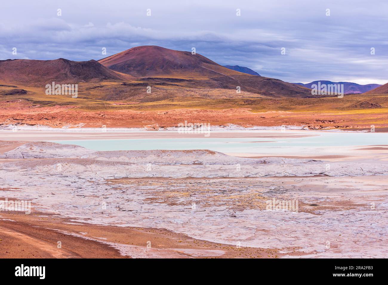 Frozen lagoon and mountain range in Piedras rojas national park at Atacama desert Stock Photo