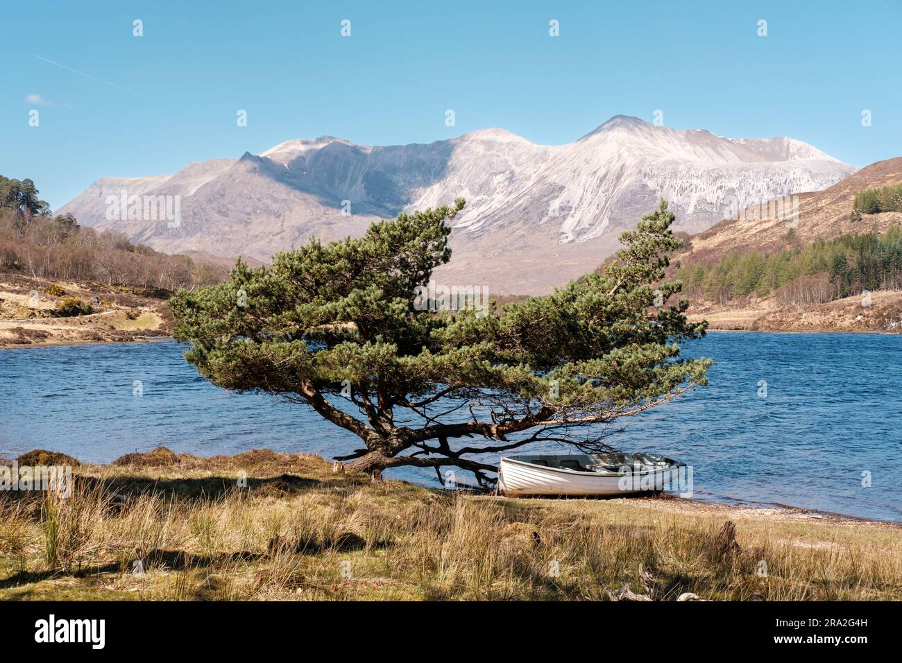 Rowing boat moored under a tree at Loch Coulin In the Torridon area of the North West Highlands of Scotland.  Beinn Eighe in the background. Stock Photo