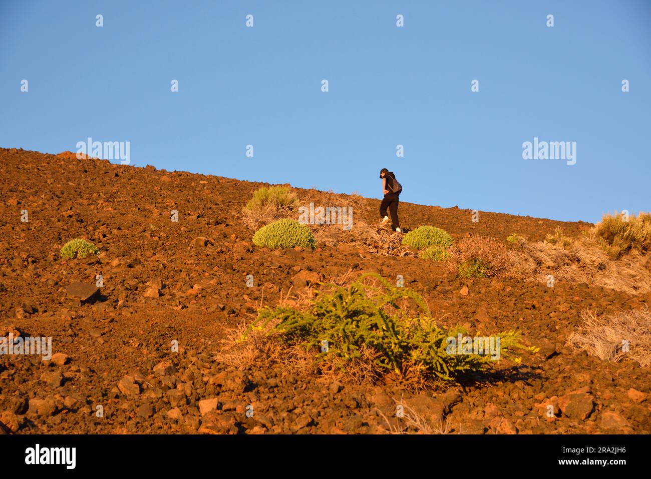 Spain, Canary Islands, Teide National Park, a UNESCO World Heritage Site, climb the slopes of the Teide volcano at sunset Stock Photo