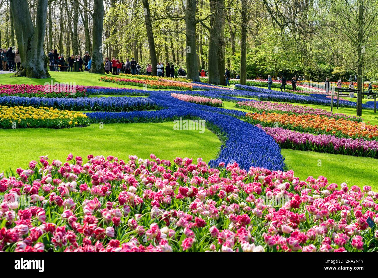 Netherlands, South Netherlands, Lisse, Keukenhof flower park Stock Photo