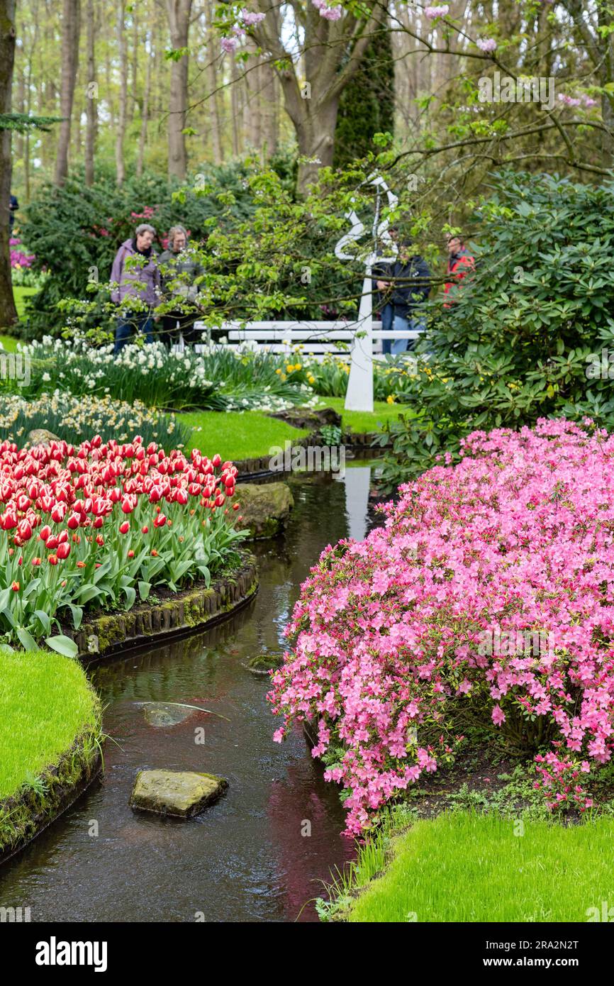 Netherlands, South Netherlands, Lisse, Keukenhof flower park Stock Photo