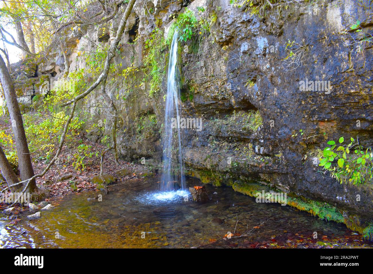 Falling Springs is a unique spring located near Winona and Alton, Missouri. The spring flows out