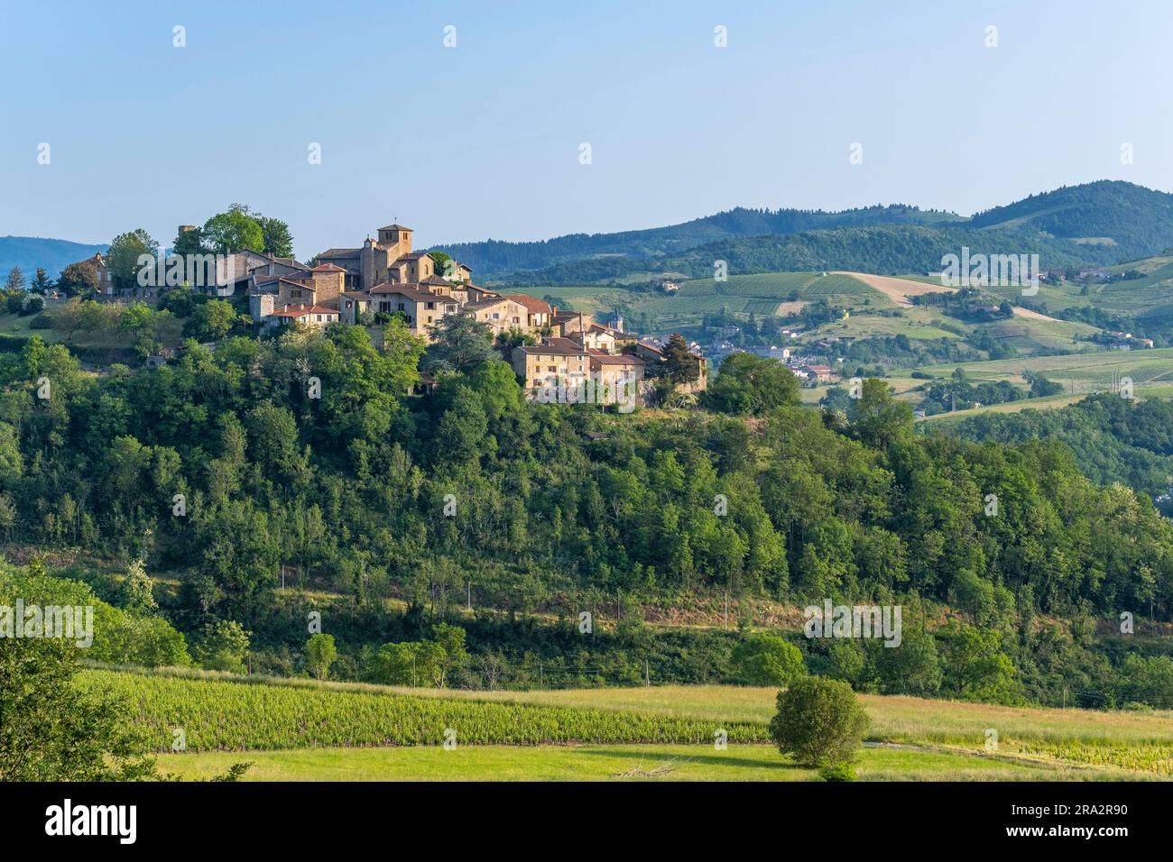Ternand Beaujolais massif hi-res stock photography and images - Alamy